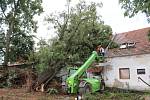 Stromy popadaly na železniční trať, například ve Velešíně Nádraží, strom spadl na stavení v Markvarticích, stromy ale padaly v celém regionu. V parcích je po stromy nastláno větvemi, jako třeba na návsi v Mojném.