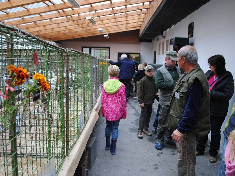 Okresní výstava drobného zvířectva v Besednicích.