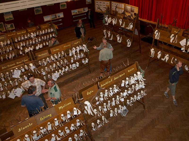 V kaplickém kulturním domě je k vidění přes tisíc trofejí zvěře ulovené v honitbách na Českokrumlovsku.