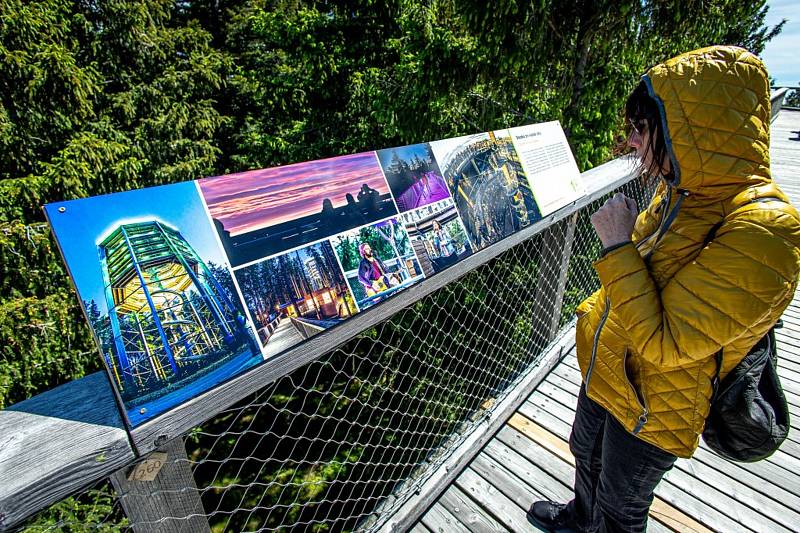 Stezka korunami stromů přichystala dvě novinky: lanovou síť ve výšce dvaceti metrů nad zemí, po které lze volně přejít, a fotografickou výstavu mapující výstavbu Stezky.