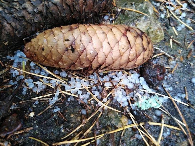 Na Kleti napadlo v přeháňce pár sněhových krupek, teplota se držela nad nulou.