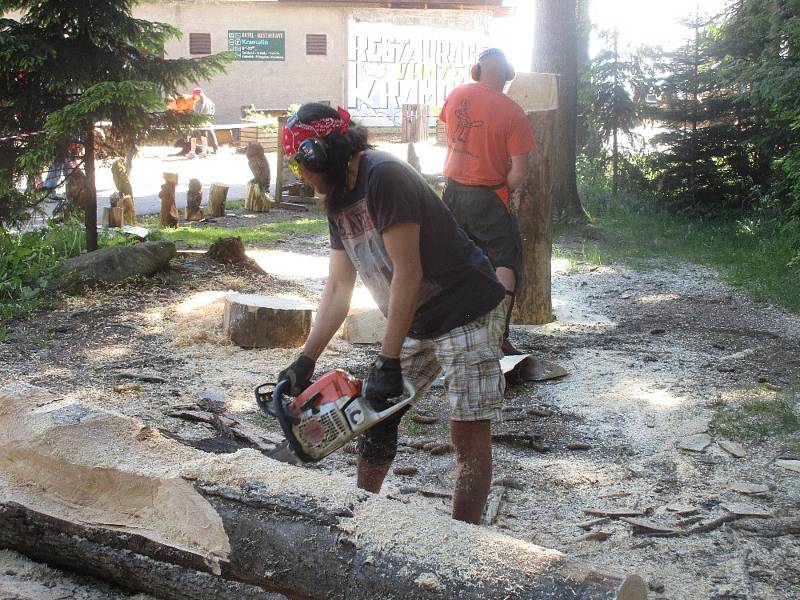 Slavnosti dřeva se konaly u lipenské stezky v korunách stromů.