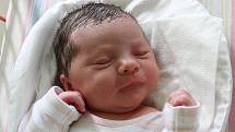 Ve středu 21. září 2016 v 8 hodin a 26 minut se Monice Bohoňkové a Janu Albertovi z Mezipotočí narodila prvorozená dcera Dominika Albertová. Její míry byly 49 centimetrů a 3015 gramů. Tatínek u porodu asistoval.