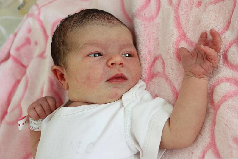 Padesát centimetrů a 3310 gramů. Takové byly porodní míry Isabelly Holubové, která se narodila 22. července 2015 ve 12:06 hodin českokrumlovským rodičům Janě a Lukášovi Holubovým. U porodu prvorozené holčičky její otec asistoval.