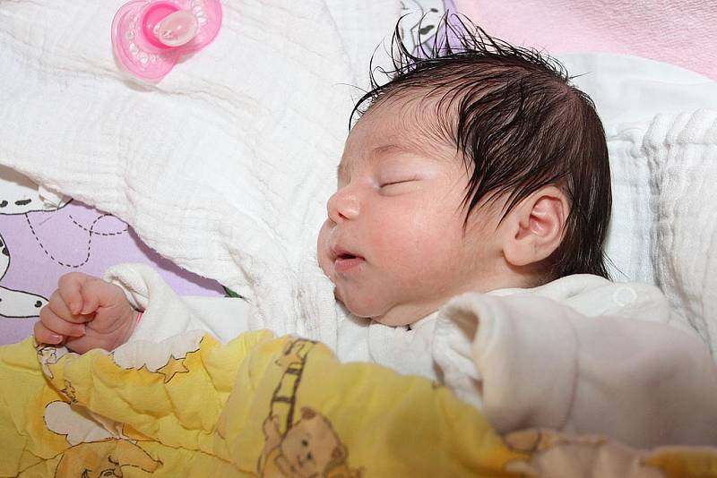 Prvorozená Irena Bikárová spatřila světlo světa v neděli 23. srpna 2015 v 11:20, měřila 49 centimetrů a vážila přesně tři kilogramy. Holčička je prvorozeným potomkem Michaely Bikárové z Větřní.
