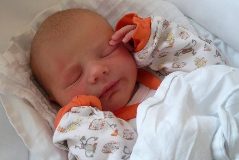 V pátek 13. února 2015 ve 20:45 se Michaele a Milanovi Novotným z Besednice narodila Marie Novotná. Holčičku s mírami 51 centimetrů a 3460 gramů doma netrpělivě očekával dvouletý bráška Josífek. Tatínek byl celou dobu u porodu velkou oporou.
