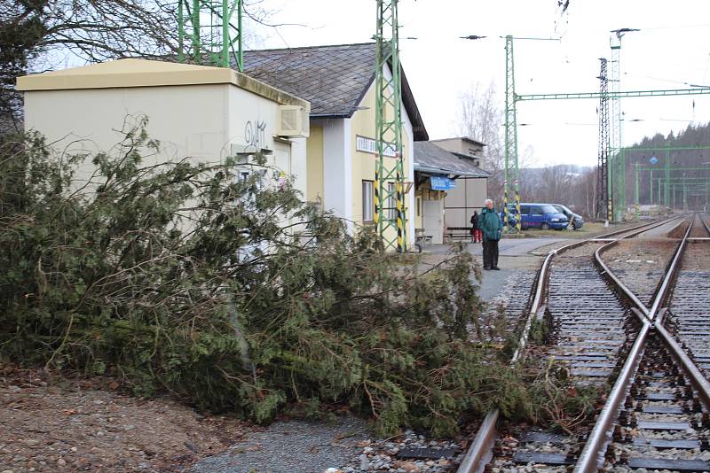 Ve Vyšším Brodě spadl kus stromu na koleje přímo na nádraží.