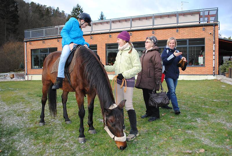 Na Laguně a poníkovi Pepínovi se s nadšením povozily děti na adventním trhu v zahradnictví. Koním zase chutnala zelená tráva, která ještě na trávnících zbyla.