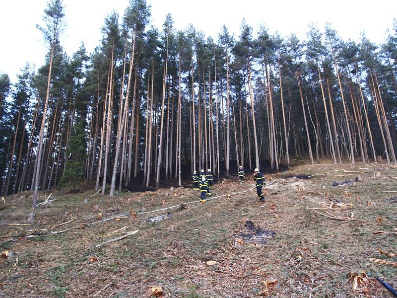 Požár lesa u Omlenice.