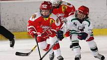 Jarní turnaj hokejových nadějí Eggenberg Cup 2009 / HC Slavoj Český Krumlov - HC Slavia Praha 8:6.