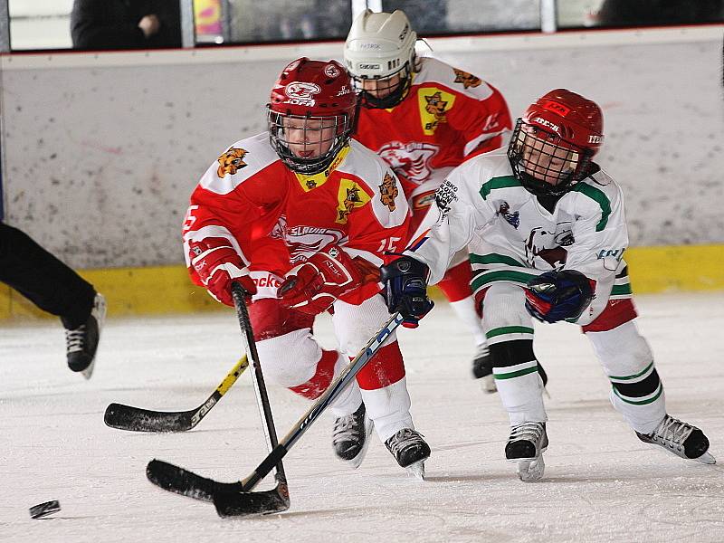 Jarní turnaj hokejových nadějí Eggenberg Cup 2009 / HC Slavoj Český Krumlov - HC Slavia Praha 8:6.