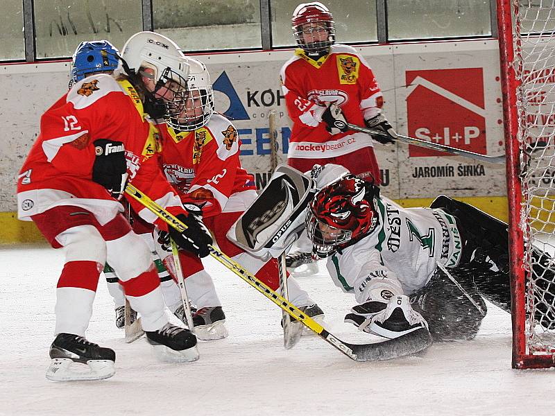 Jarní turnaj hokejových nadějí Eggenberg Cup 2009 / HC Slavoj Český Krumlov - HC Slavia Praha 8:6.