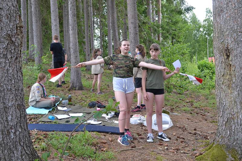 Krajské kolo Svojsíkova závodu je rozhodnuto.