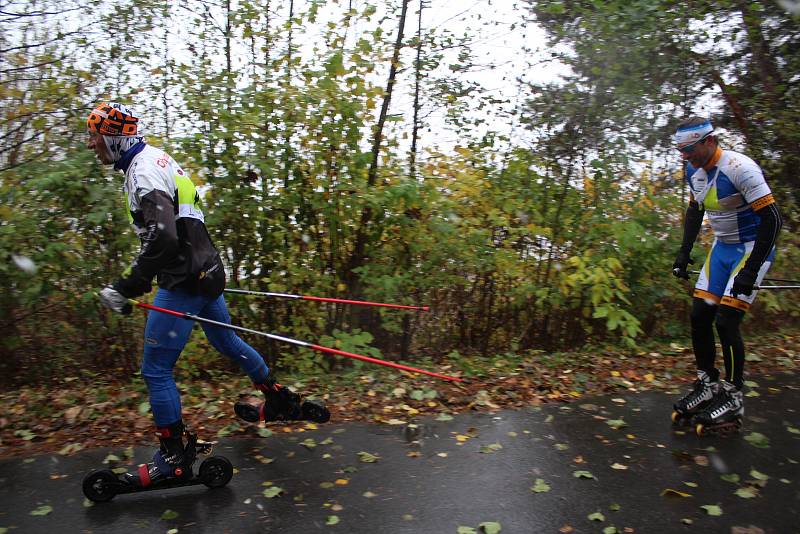 Frymburk – Svatý Tomáš Roller Ski Tour 2019 se jela v sobotu 9. listopadu na 33 km dlouhé trati.