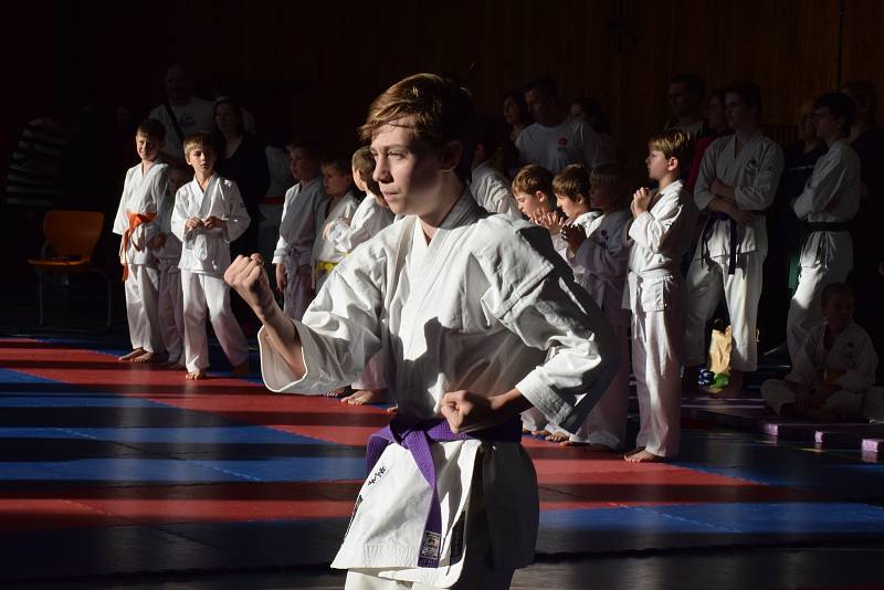 Mikulášský turnaj, poslední z letošní série turnajů Jihočeského svazu japonského karate, pořádal českokrumlovský Shotokan karate klub.