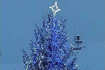 Vánoční strom v Horním Dvořišti.