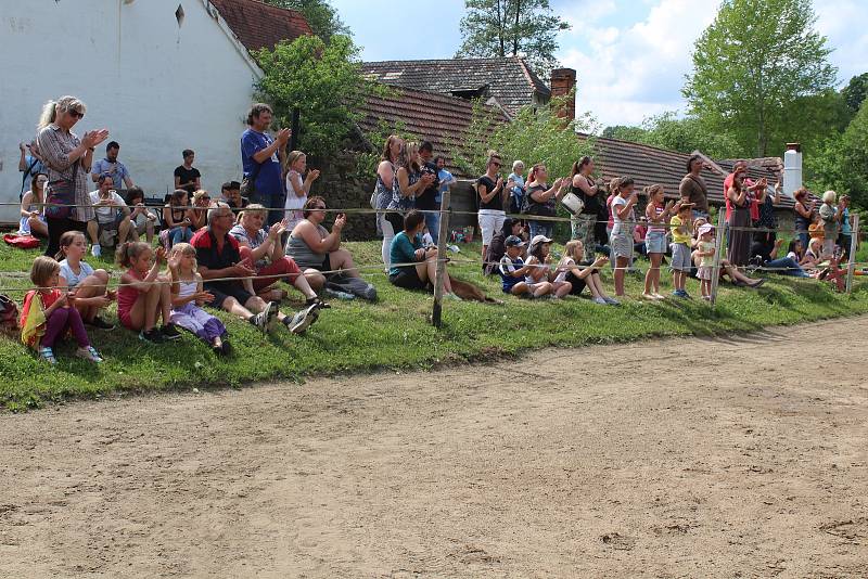 Prezentace koní a jezdců Stáje Pohoda v Dobrkovicích.