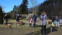 Otužilci ve Vyšším Brodě nenechali akci Covide, nezlob mě bez činu. A přidali i taneček.