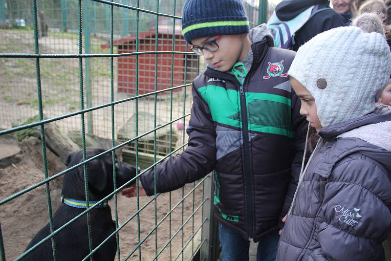 Psí Vánoce v českokrumlovském útulku pro opuštěná zvířata.