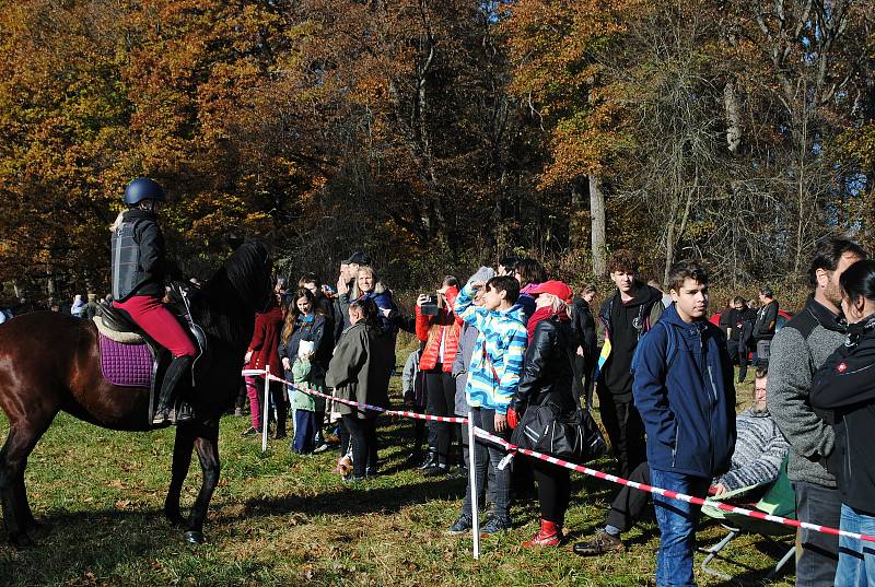 Hubertova jízda v zámeckém parku v Červeném Dvoře.