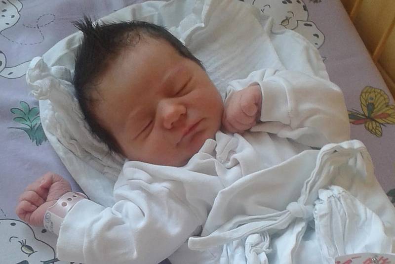 Kristýna Lisá se narodila ve středu 30.  prosince 2015 s mírami 49 centimetrů a 3155 gramů. Holčička bude vyrůstat v Horní Plané.
