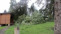 Silný vítr vyvrátil stromy v parku kolem bývalé Porákovy vily v Loučovicích. Foto: Vlasta Slípková