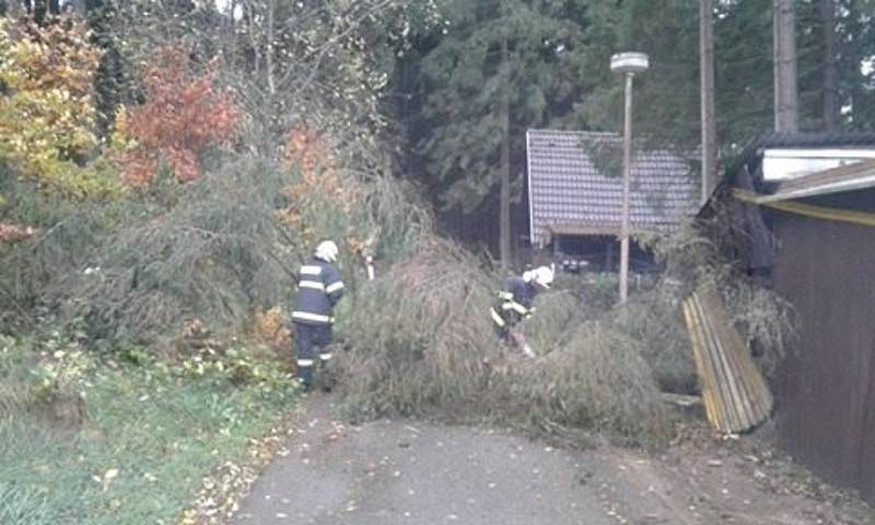 V plném nasazení byli při odstraňování padlých stromů také frymburští dobrovolní hasiči.