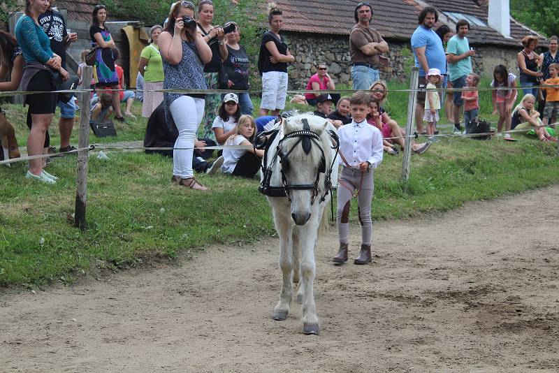 Prezentace koní a jezdců Stáje Pohoda v Dobrkovicích.