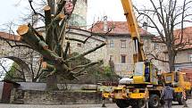 V pondělí nastala v medvědáriu veliká operace - instalace nových kmenů do medvědích výběhů.