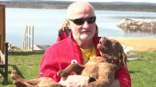 Vodní záchranáři mají nového parťáka: štěně Chesapeake Bay retrievera Queeny.
