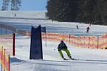 Lyžařské závody pro veřejnost McDonald's Winter Cup s Jakubem Kohákem přilákaly na Lipno desítky závodníků.