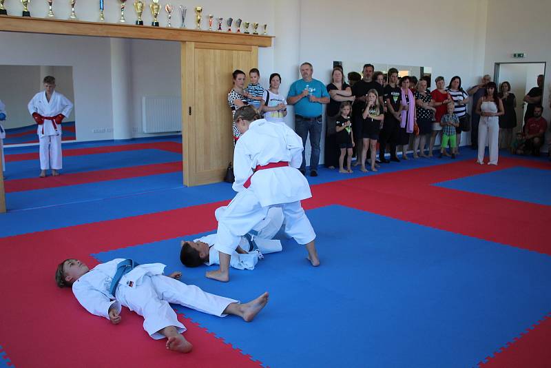 V krumlovském Skleníku sídlí Sportovní klub karate Český Krumlov .