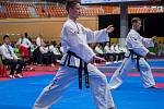 Reprezentanti Taekwon-do školy Velešín ITF byli na MS v bulharském Plovdivu hodně vidět.