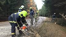 Krátce po půl osmé ráno vyjížděli hasiči SDH Velešín k odstranění stromu přes komunikaci směrem na Svatý Jan nad Malší.