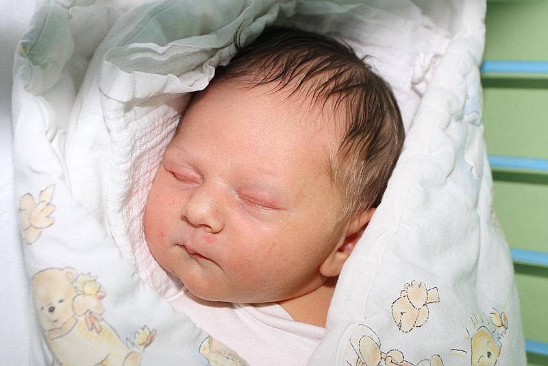 Prvorozená Julie Dvořáková se českokrumlovským partnerům Doře Kubíčkové a Josefu Dvořákovi narodila 19. srpna 2015 v 18:57, měřila 51 centimetrů a vážila 3545 gramů. Novopečený otec nemohl u porodu chybět.