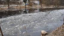 Bobři kácí  další a další stromy po obou březích Vltavy mezi Českým Krumlovem a Větřním.