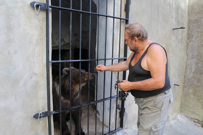 Dvouletá medvíďata se po příjezdu z olomoucké zoo zabydlují na krumlovském zámku.