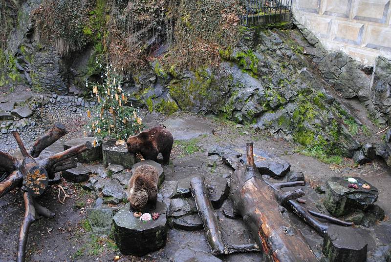 I Medvědí Vánoce na krumlovském zámku v roce 2020 provázela přísná protiepidemická opatření, musely se obejít bez stovek diváků.