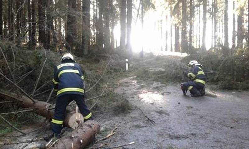 V plném nasazení byli při odstraňování padlých stromů také frymburští dobrovolní hasiči.