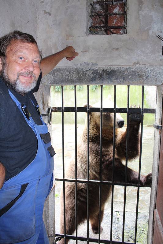 Českokrumlovské zámecké medvědárium prodělává úpravy.