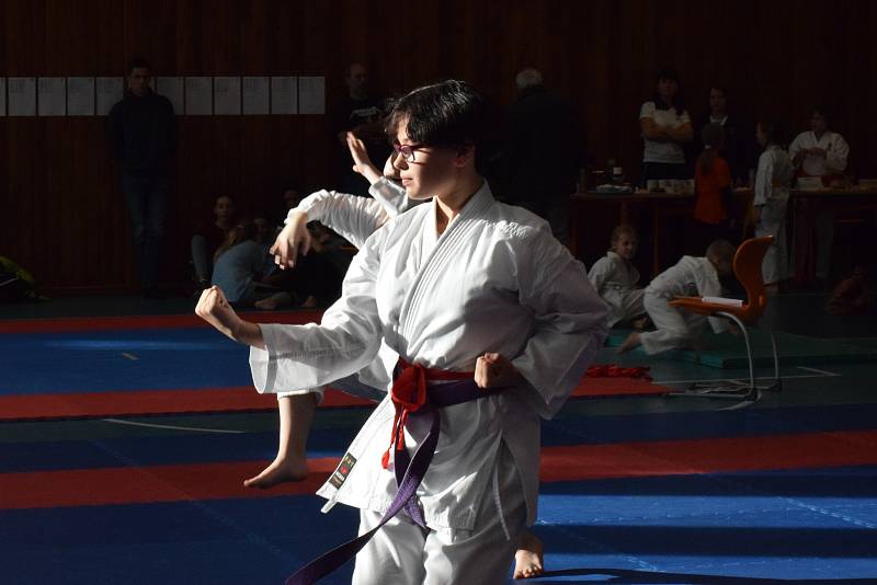 Mikulášský turnaj, poslední z letošní série turnajů Jihočeského svazu japonského karate, pořádal českokrumlovský Shotokan karate klub.