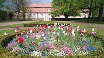 Areál zámku Český Krumlov je v plném květu.
