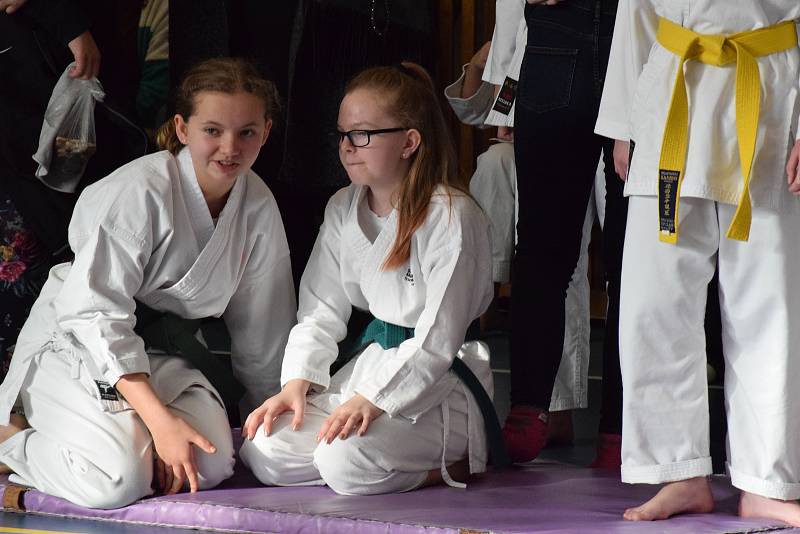 Mikulášský turnaj, poslední z letošní série turnajů Jihočeského svazu japonského karate, pořádal českokrumlovský Shotokan karate klub.