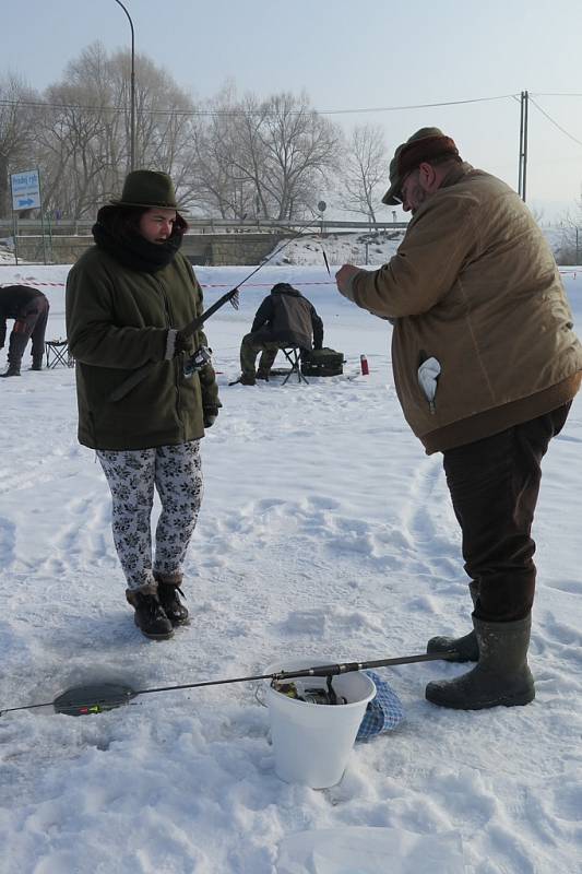 Rybolov pod ledem v kaplickém pstruhařství.