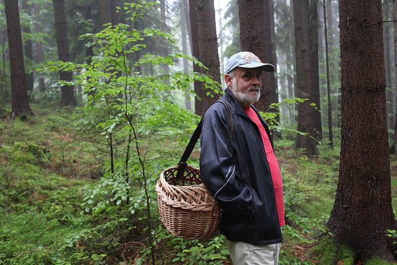 Ivan Janota vyrazil na obhlídku svých míst na svazích Bulového na Českokrumlovsku. Sezóna hřibů začíná.