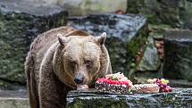 Na obyvatele medvědího příkopu nemohli o Štědrém dni zapomenout obyvatelé Českého Krumlova a okolí.