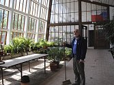 Zahradní architekt Jiří Olšan ve velkém skleníku.