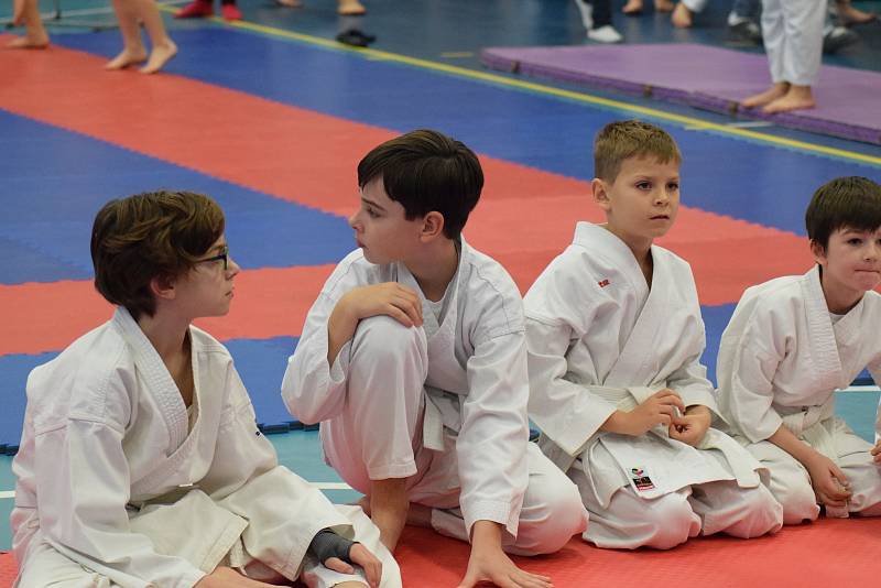 Mikulášský turnaj, poslední z letošní série turnajů Jihočeského svazu japonského karate, pořádal českokrumlovský Shotokan karate klub.