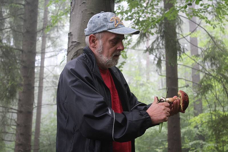 Ivan Janota vyrazil na obhlídku svých míst na svazích Bulového na Českokrumlovsku. Sezóna hřibů začíná.