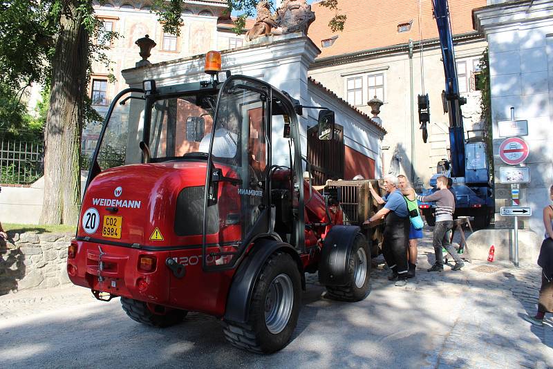 Dvouletá medvíďata se po příjezdu z olomoucké zoo zabydlují na krumlovském zámku.